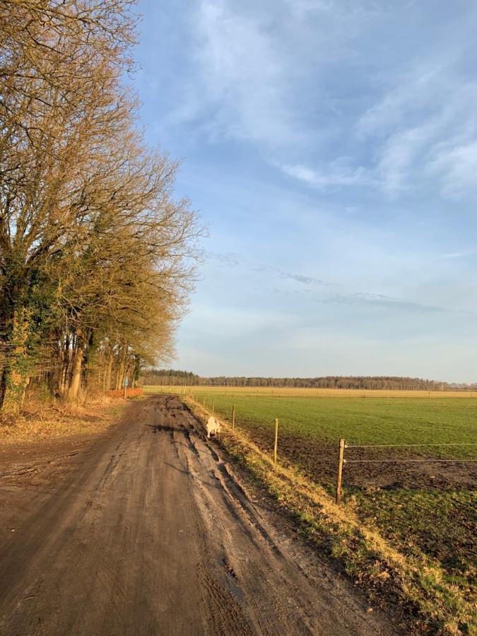 نورخْ 'T Holten Huus - Puur Genieten In Het Bos. المظهر الخارجي الصورة