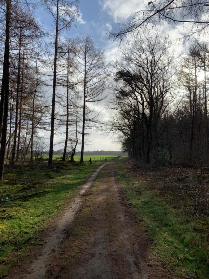 نورخْ 'T Holten Huus - Puur Genieten In Het Bos. المظهر الخارجي الصورة