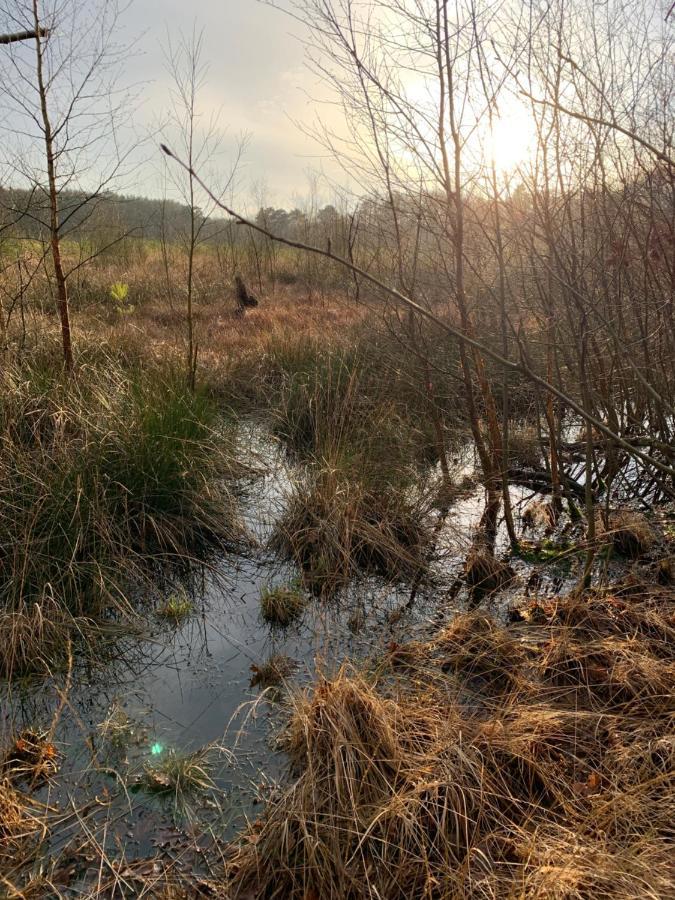 نورخْ 'T Holten Huus - Puur Genieten In Het Bos. المظهر الخارجي الصورة